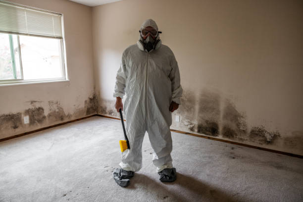 Best Residential Mold Removal  in Absecon, NJ